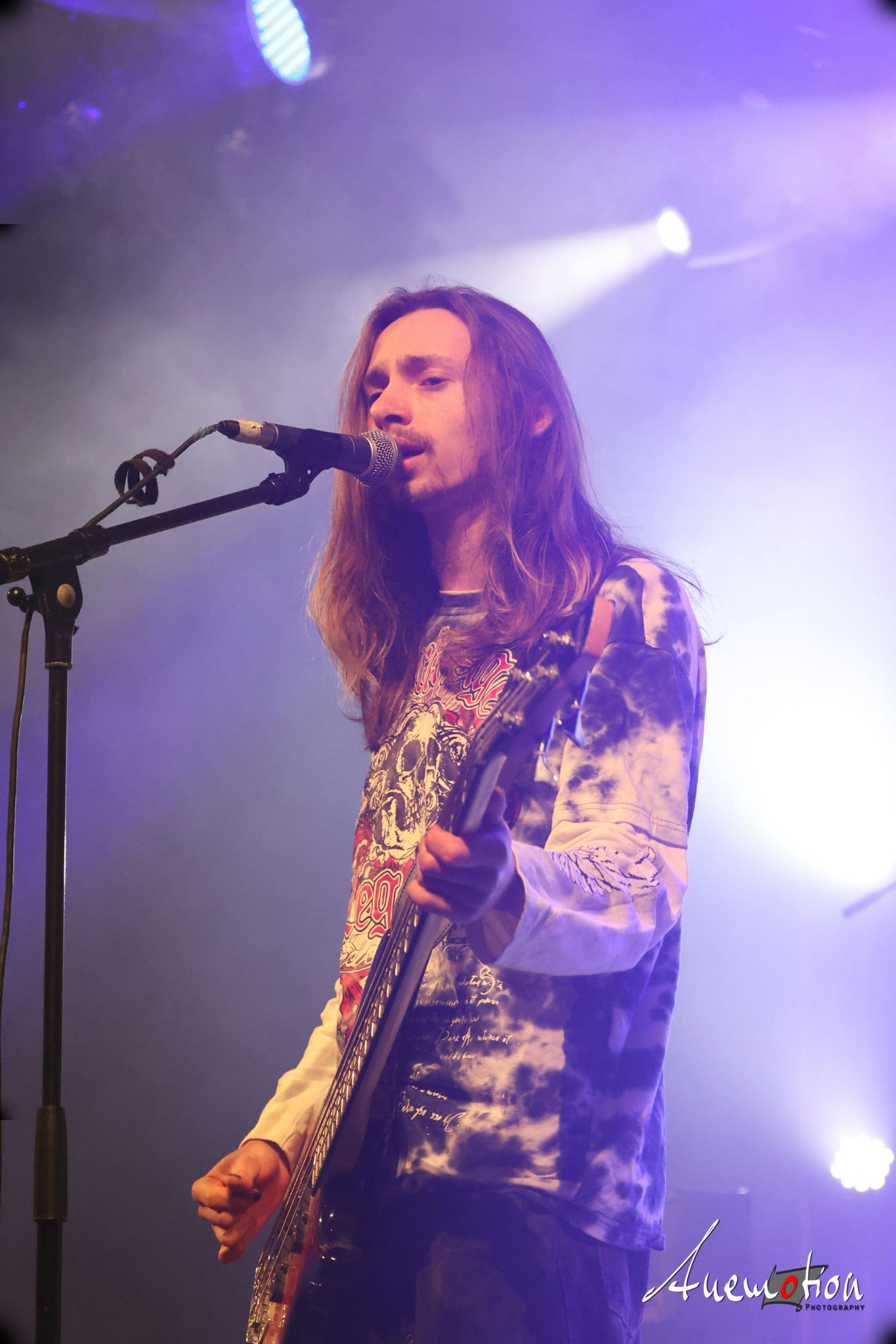 ElephantsFalling (6)